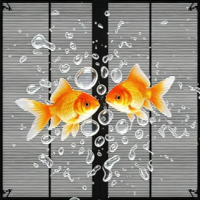 Indoor Transparent LED Display-3