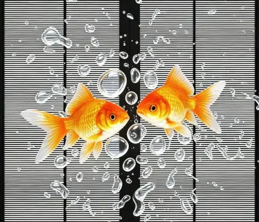 Indoor Transparent LED Display-3 Indoor Transparent LED Display-3
